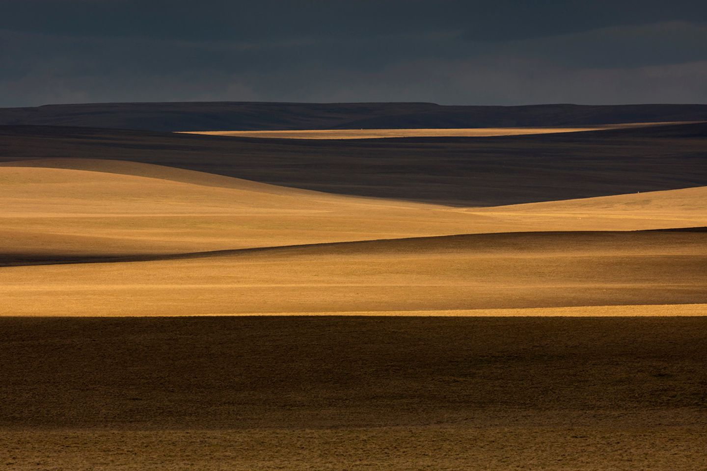 Gemäßigtes Grasland: Pampa (Chile, Patagonien)