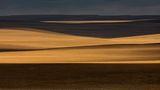 Gemäßigtes Grasland: Pampa (Chile, Patagonien)