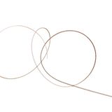 Federgras Stipa krylovii