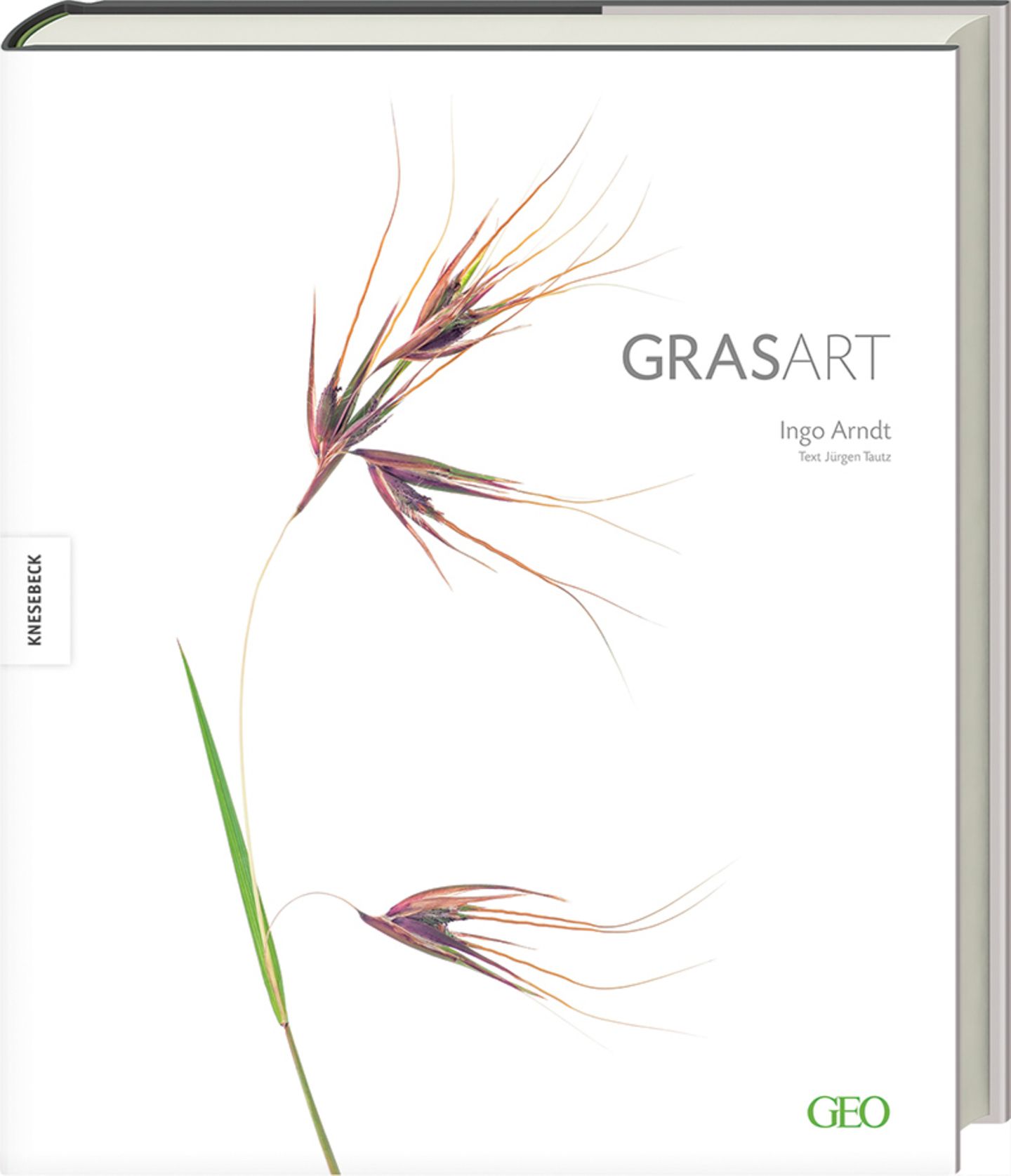 GRASART - Ingo Arndt