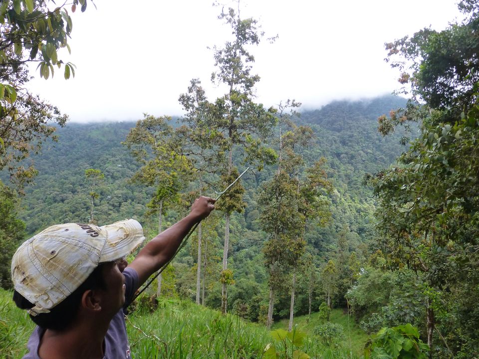 Victor Ramírez zeigt der Geschäftsführerin des Vereins jene Waldflächen, die 2016 dank des LichtBlick-Projekts in den Besitz der Gemeinde Chalcuayacu Alto übergegangen sind