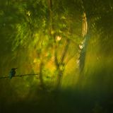 Klaus Tamm/GDT ENJ 2016