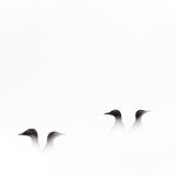 Jon Andoni Juarez Garcia/GDT ENJ 2016