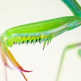 Georg Kantioler/GDT ENJ 2016