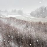 Costa Cervera/GDT ENJ 2016