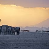 Tanja Dekker/GDT ENJ 2016