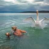 Ilona Szabo/GDT ENJ 2016