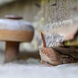 Thomas Hempelmann/GDT ENJ 2016