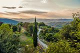 TRIBEWANTED, Monestevole