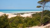 Patara