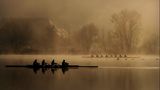 Wohlensee