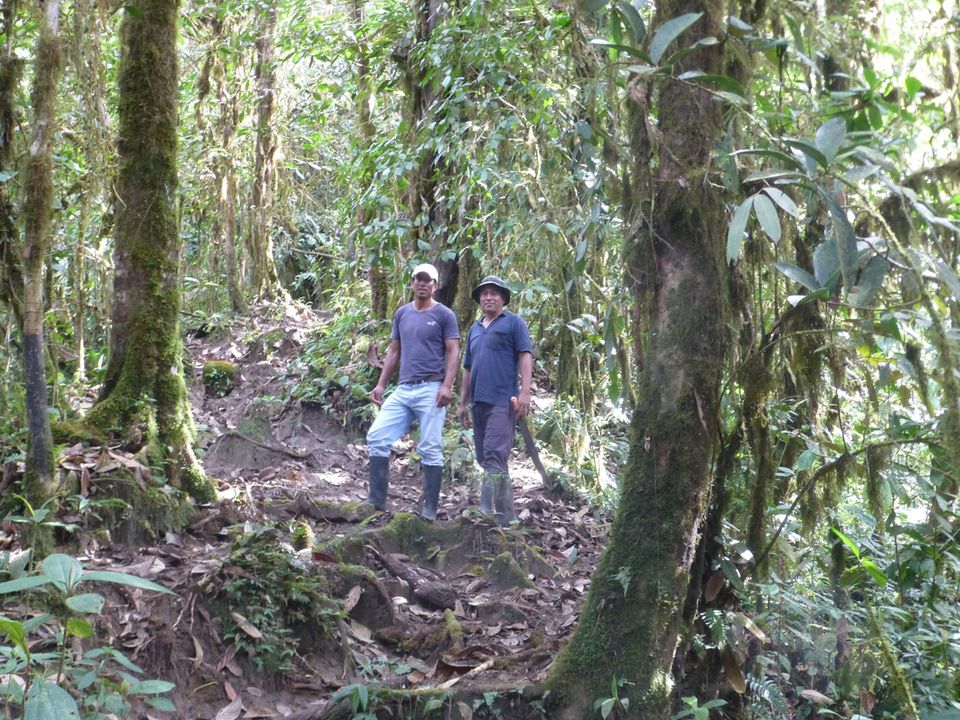Victor Ramírez und ein weiterer Waldschutzaktivist des Intag-Bezirks García Moreno im Juni 2016 auf dem Weg zum Waldschutzgebiet Chalguayacu Alto Victor Ramírez und ein weiterer Waldschutzaktivist des Intag-Bezirks García Moreno im Juni 2016 auf dem Weg zum Waldschutzgebiet Chalguayacu Alto