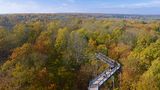 Blick über den Hainich vom Baumkronenpfad im Nationalpark, Thüringen