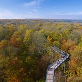 Blick über den Hainich vom Baumkronenpfad im Nationalpark, Thüringen