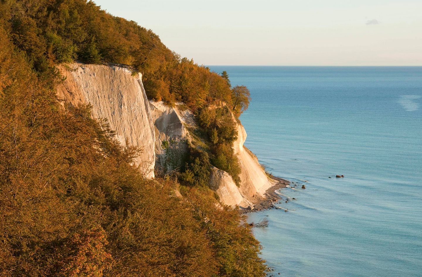 Kreidefelsen Rügen