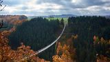 Hunsrück Steig, Hängeseilbrücke Geierlay