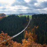 Hunsrück Steig, Hängeseilbrücke Geierlay