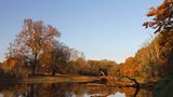 Altwasserarm der Flussauenlandschaft im herbstlichen Abendlicht, Biosphärenreservat Mittlere Elbe