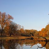Altwasserarm der Flussauenlandschaft im herbstlichen Abendlicht, Biosphärenreservat Mittlere Elbe