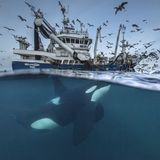 Audun Rikardsen/ Siena International Photography Awards 2016