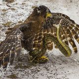 Antonius Andre Tjiu/ Siena International Photography Awards 2016