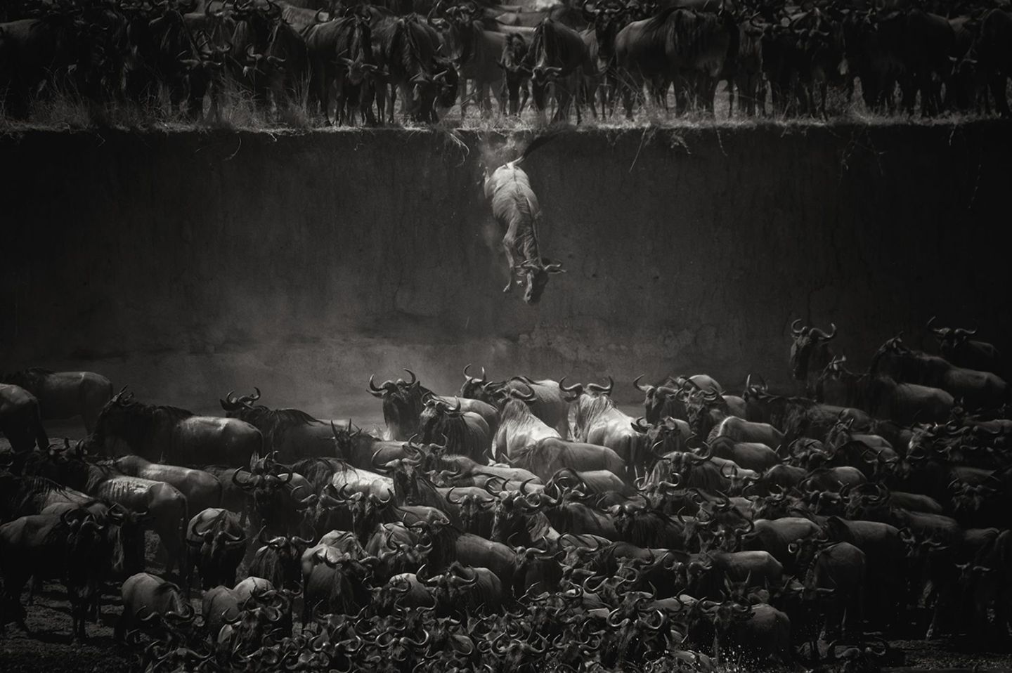Todessprung Nicole Cambré/ Siena International Photography Awards 2016