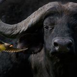 Barbara Fleming/ Siena International Photography Awards 2016