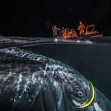 Audun Rikardsen/ Siena International Photography Awards 2016