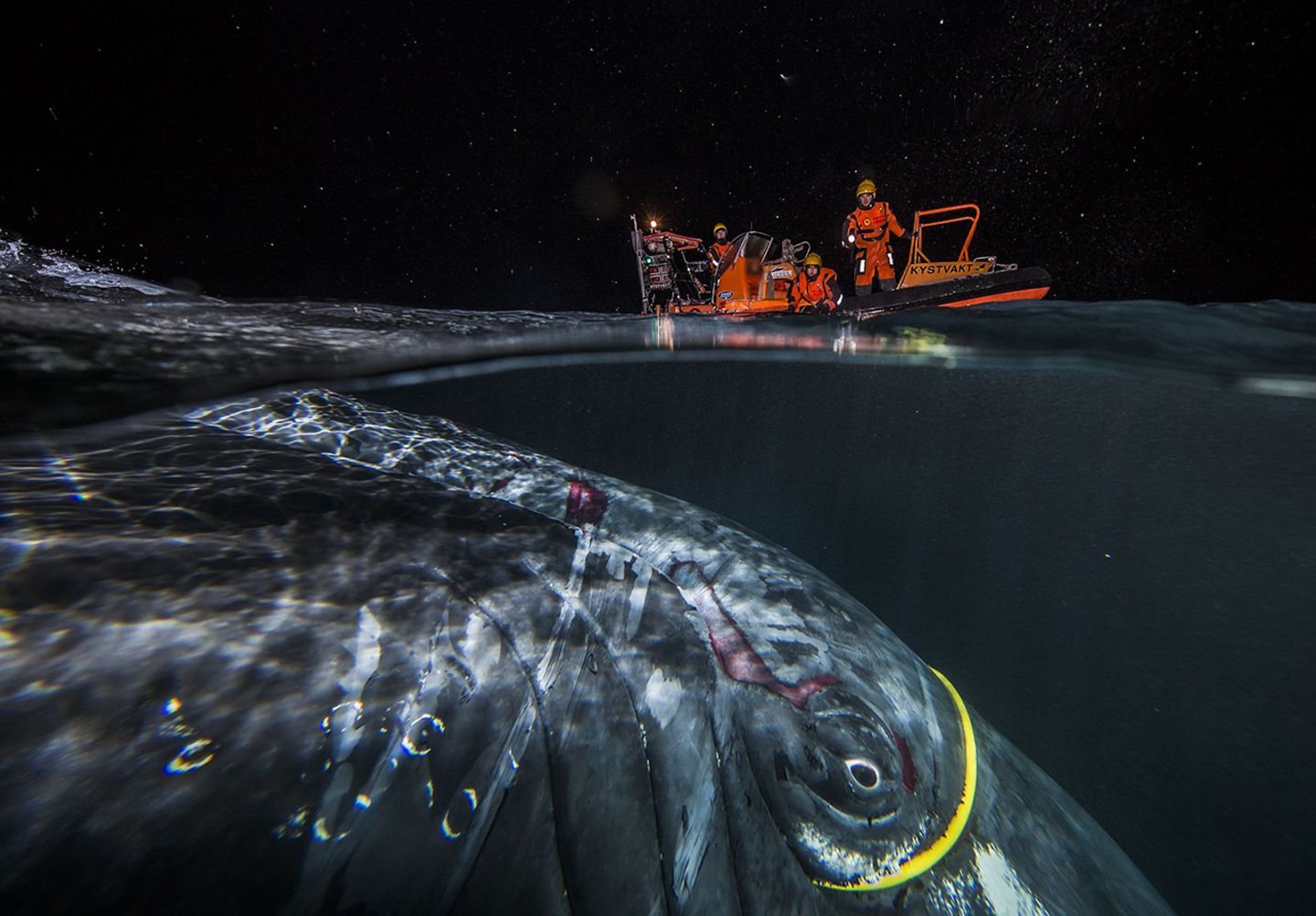 Audun Rikardsen/ Siena International Photography Awards 2016