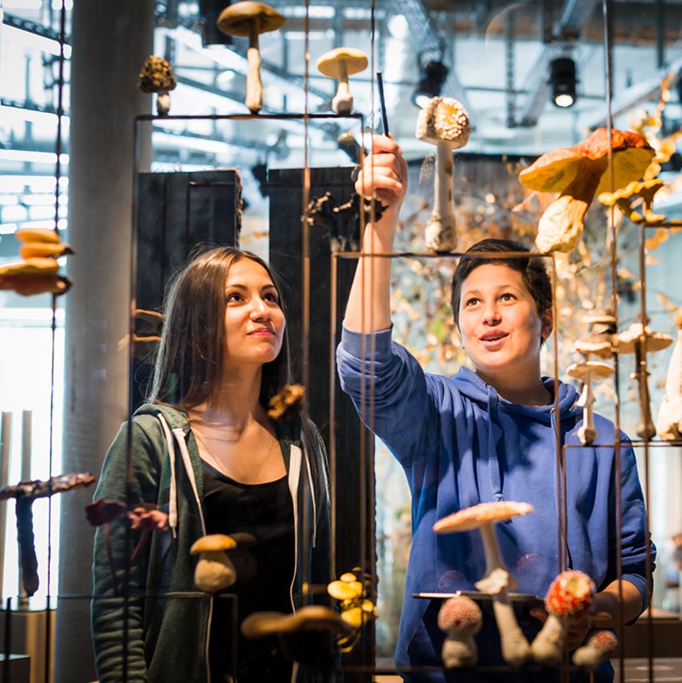 Schüler im Wälderhaus Hamburg