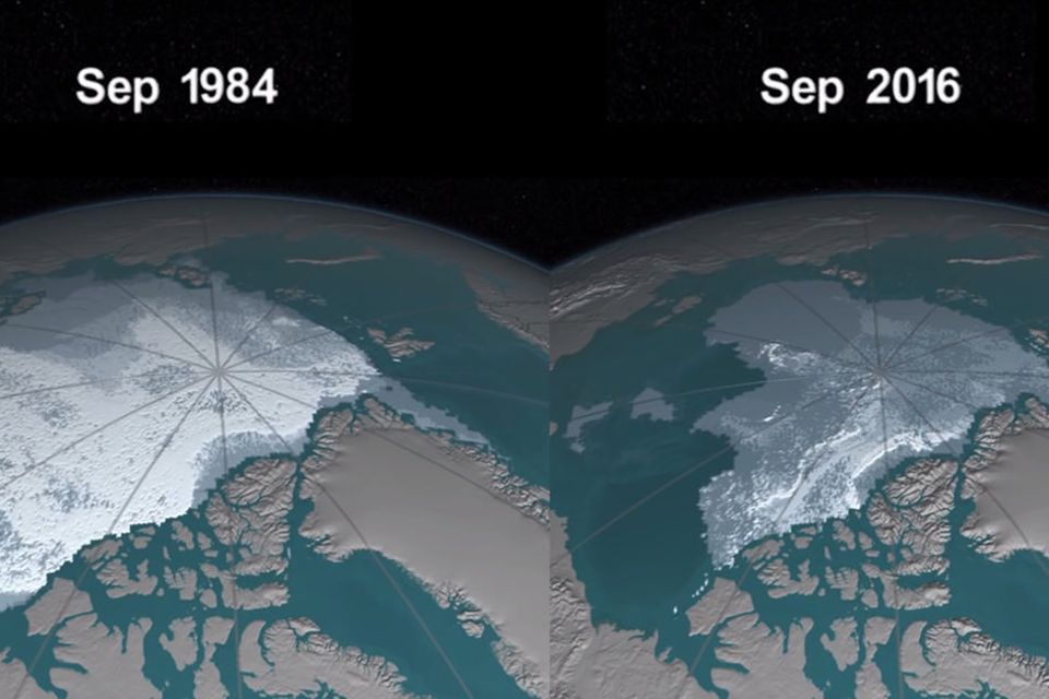 Animation der Nasa: So rasant schmilzt das Eis der Arktis