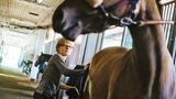 Pferd Selma wird von Henry gestriegelt