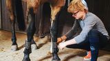 Henry legt seinem Pony die Gamaschen ann