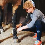 Henry legt seinem Pony die Gamaschen ann