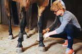 Henry legt seinem Pony die Gamaschen ann