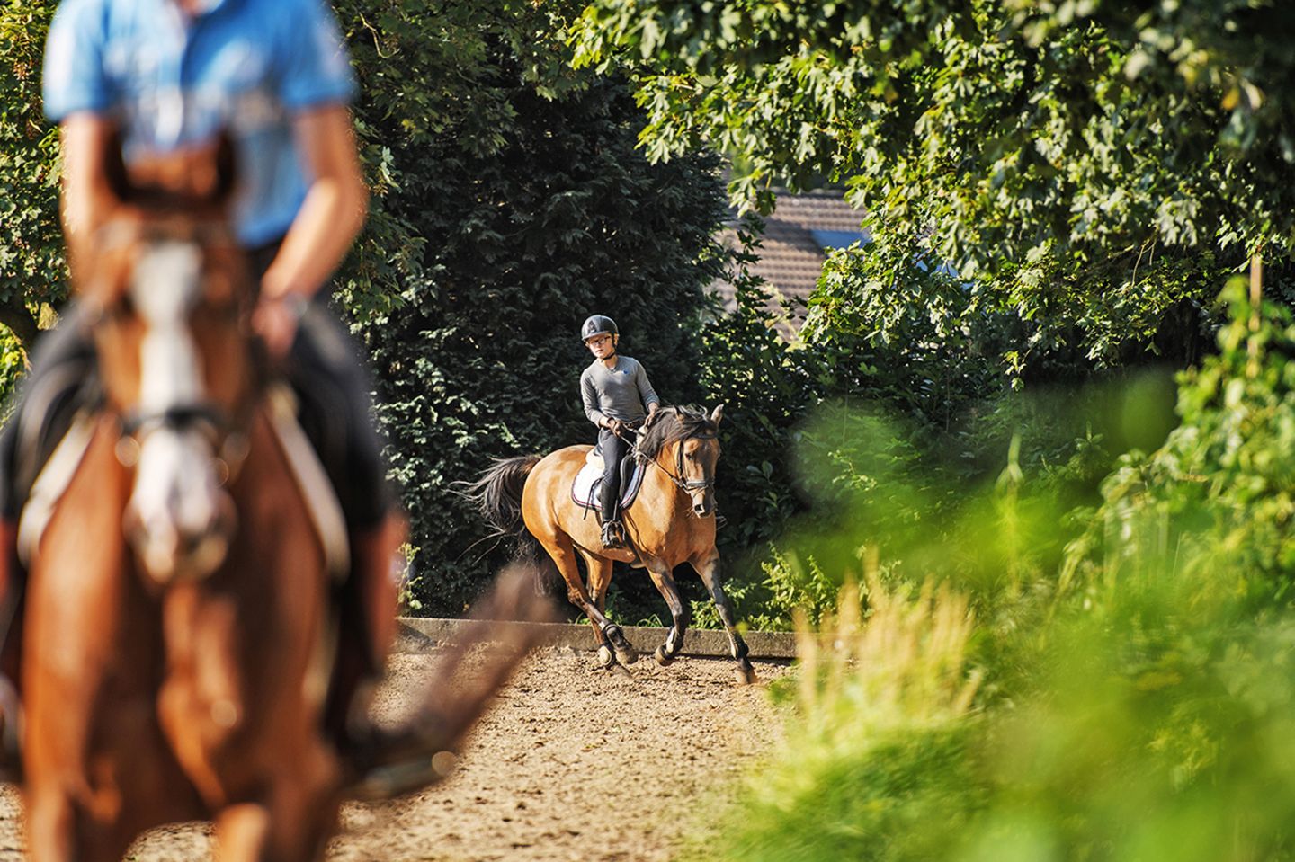 Das Pony muss sich vor dem Sprungtraining erstmal aufwärmen