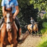 Das Pony muss sich vor dem Sprungtraining erstmal aufwärmen