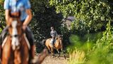Das Pony muss sich vor dem Sprungtraining erstmal aufwärmen
