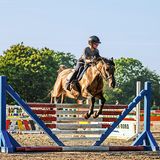 Reiter und Pferd beim Springtraining