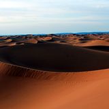 Die Sahara in Marokko