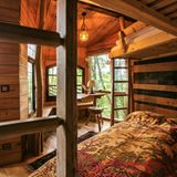 Baumhotel Robins Nest, Germany, Architekt: Peter Becker