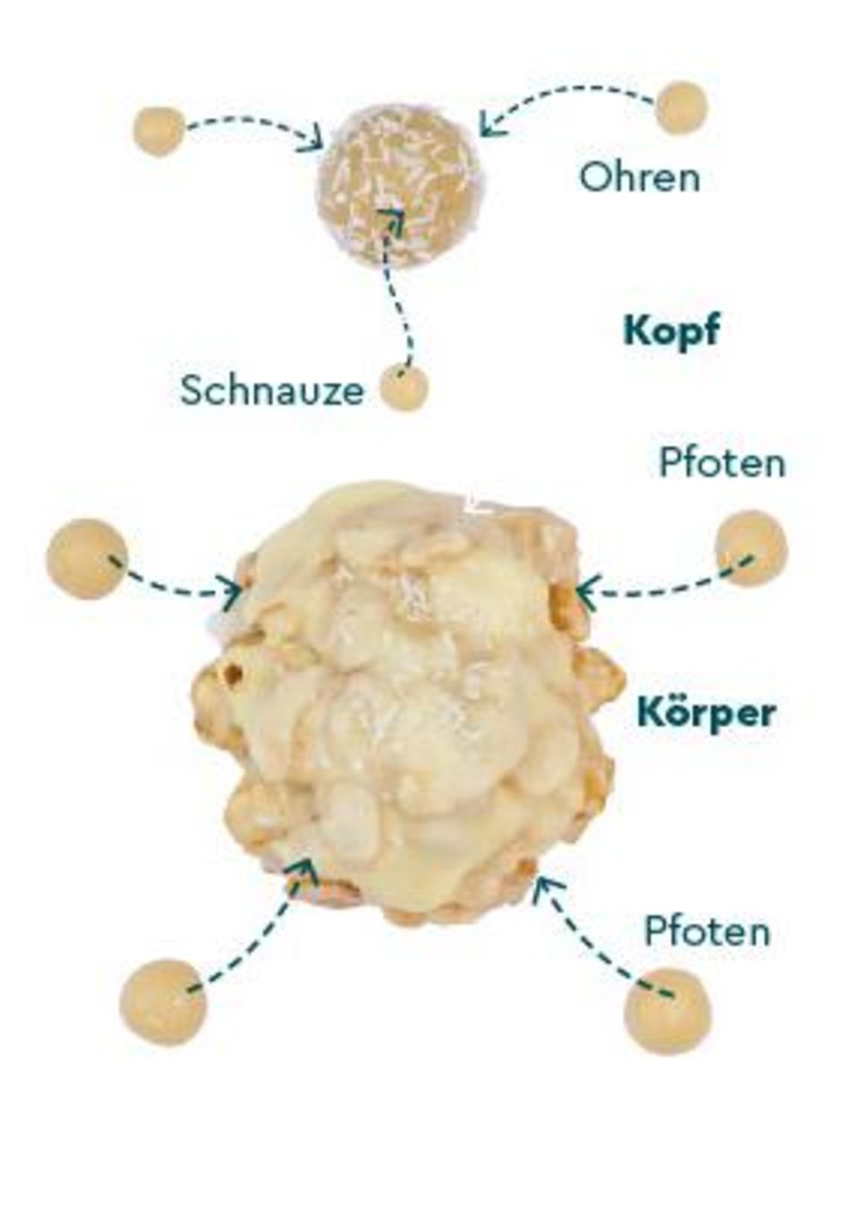 So setzt ihr den Eisbären aus Schokolade zusammen So setzt ihr den Eisbären aus Schokolade zusammen