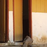 Comedy Wildlife Photography Awards