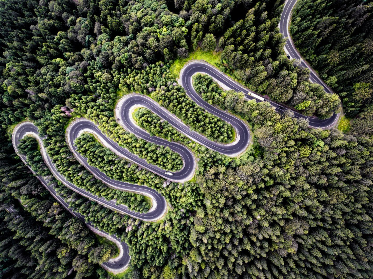 Die Straße nach Transsylvanien Infinity Road nach Transsilvanien