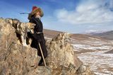 Taipak's wolves, Deloun Highlands, Olgii Province, Mongolia, 2009