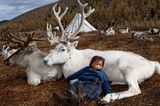 Deer totem, West Taiga, Hovsgol Province,  Mongolia, 2006