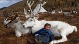 Deer totem, West Taiga, Hovsgol Province,  Mongolia, 2006