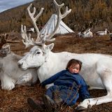 Deer totem, West Taiga, Hovsgol Province,  Mongolia, 2006