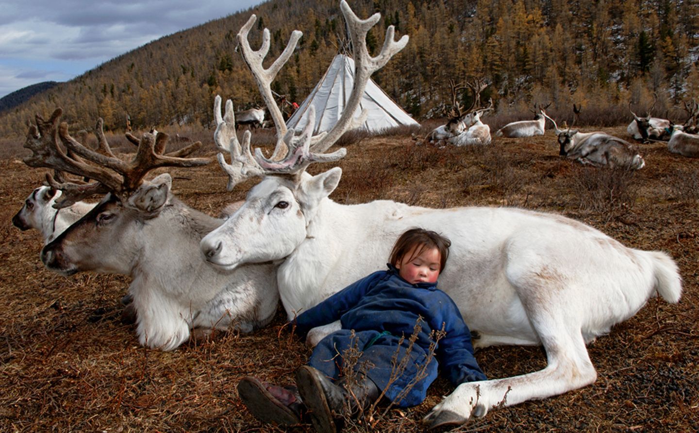 Deer totem, West Taiga, Hovsgol Province,  Mongolia, 2006