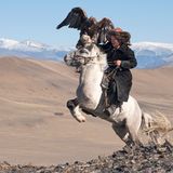 White Pegasus study I, Deloun Highlands, Olgii Province, Mongolia, 2010